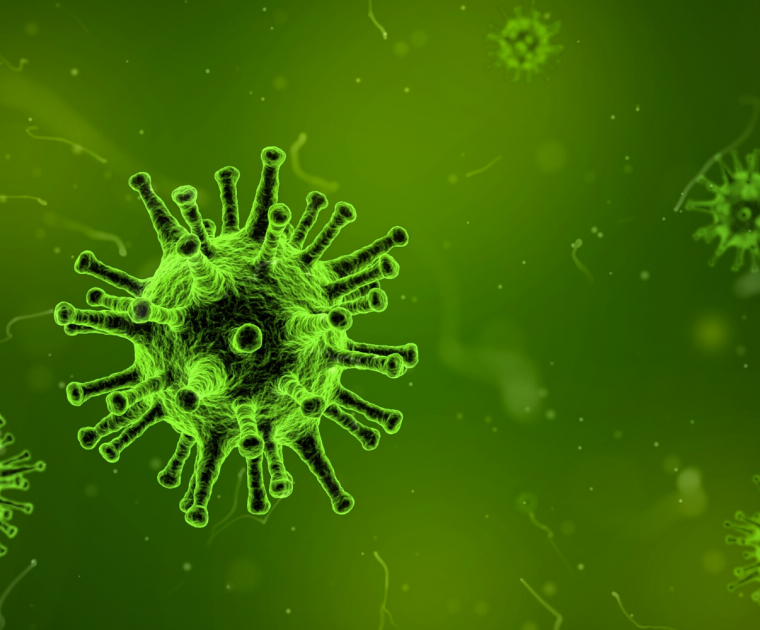corona virus update
